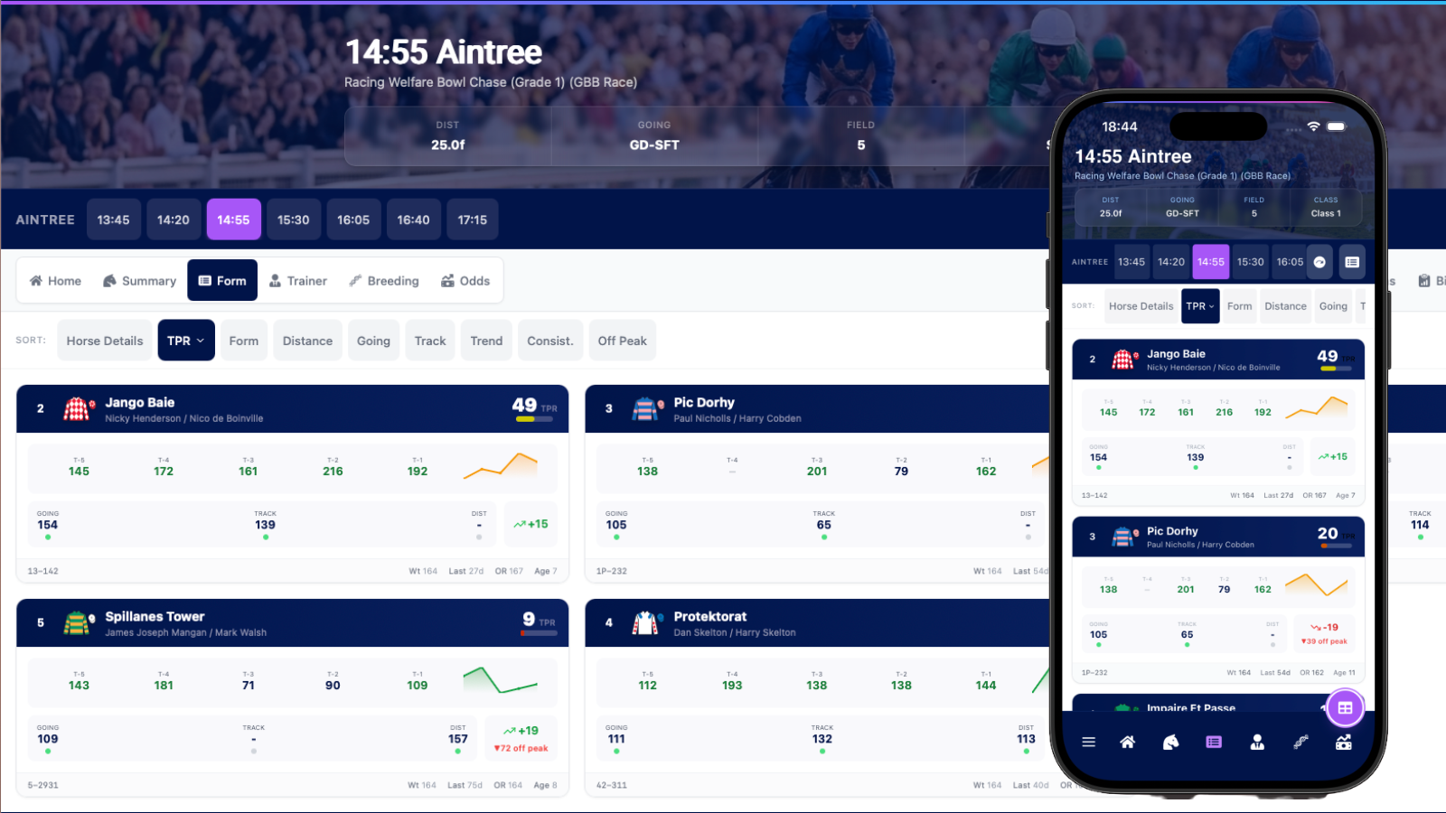 Card View showing the Summary module with form bars, odds chart, trainer, breeding, class, and handicap mark data per horse